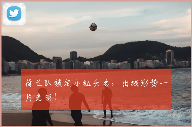 荷兰队锁定小组头名，出线形势一片光明！