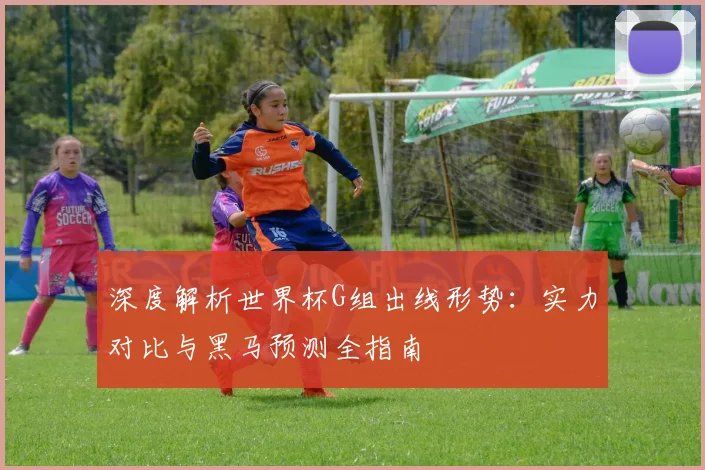 深度解析世界杯G组出线形势：实力对比与黑马预测全指南