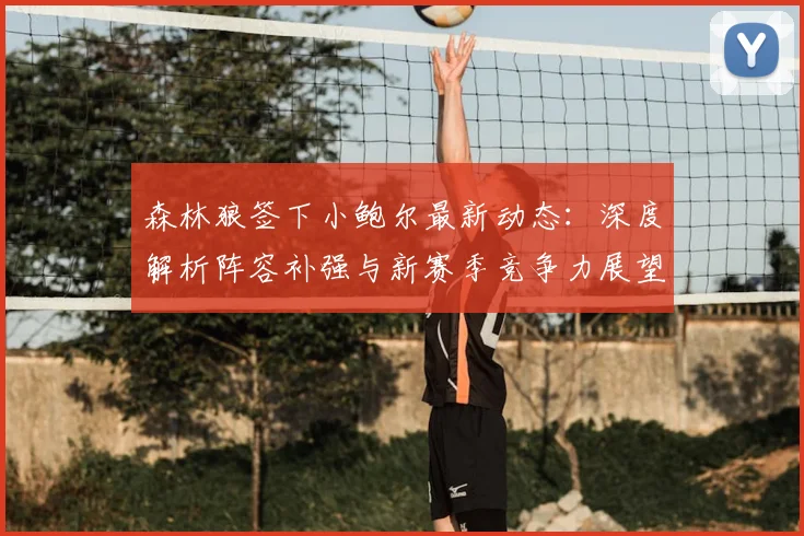 森林狼签下小鲍尔最新动态：深度解析阵容补强与新赛季竞争力展望